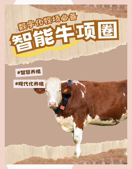 养牛能挣钱吗缩略图