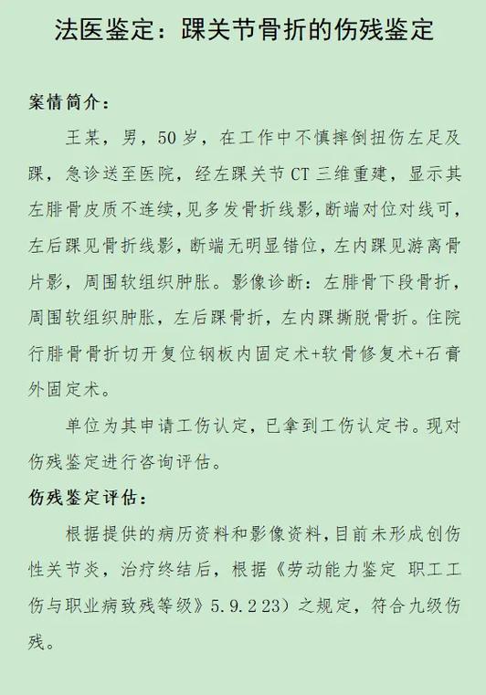 伤情鉴定费用由谁承担游戏截图