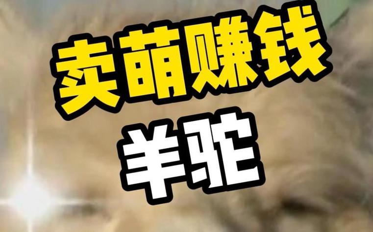 合成羊驼赚钱的游戏游戏截图