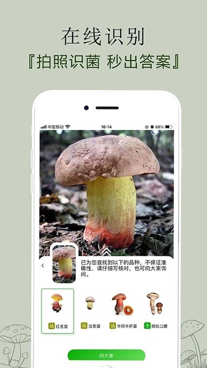有个叫什么菌的软件缩略图