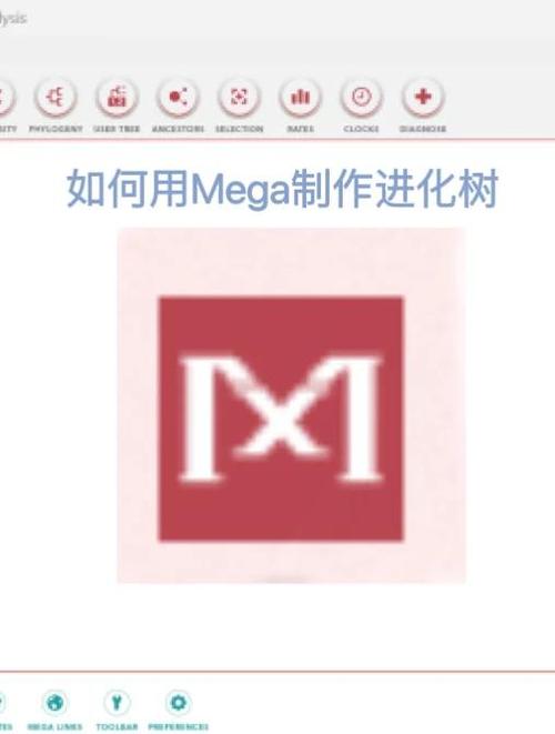 手机mega的文件在哪缩略图