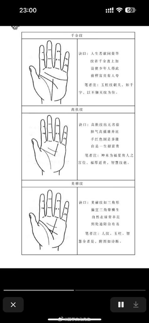 手相图解大全女 右手