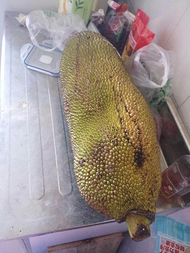 菠萝蜜打开后还能熟吗游戏截图