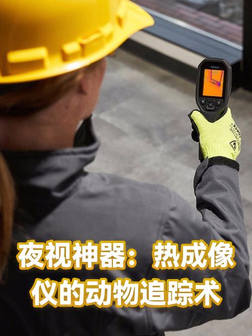 漫漫长夜取回保险箱的物品