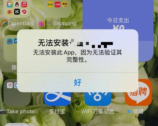 苹果无法安装第三方软件缩略图