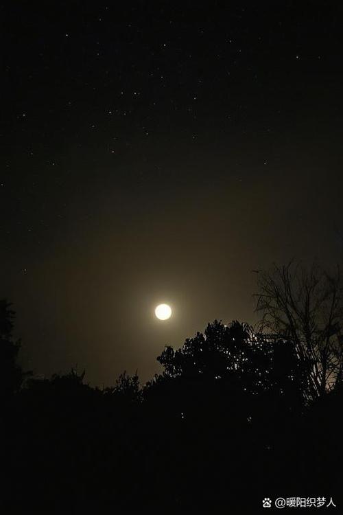 圆月之夜游戏截图