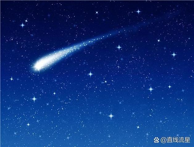 流星视频真实缩略图