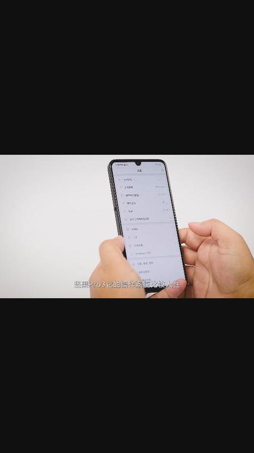 坚果pro3使用技巧游戏截图
