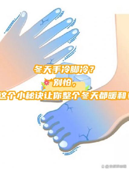 为什么手容易冰