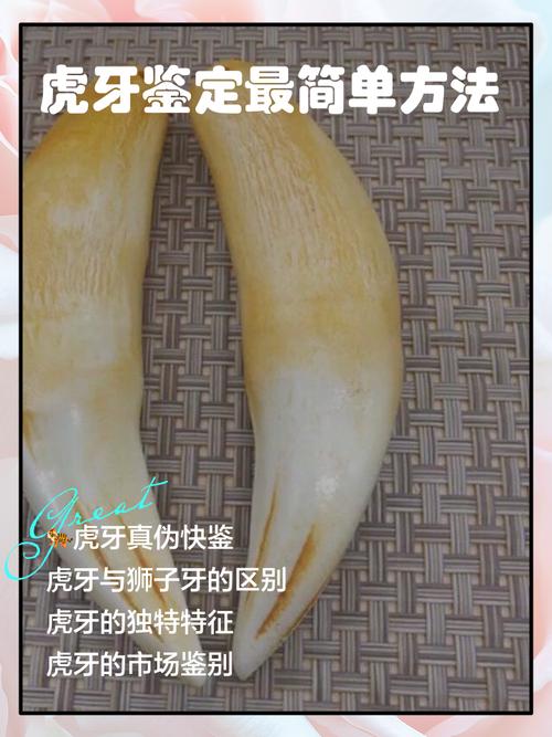 虎牙直播账号密码答案大全