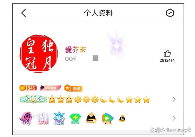 QQ等级全球第一人