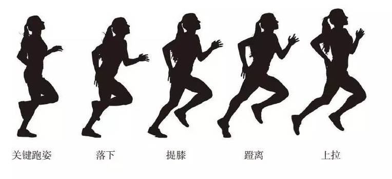 跑步专用的软件下载缩略图