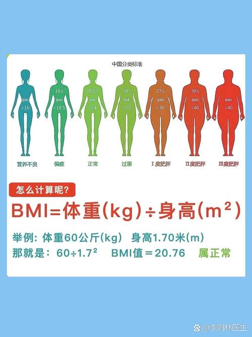 bmi的计算缩略图