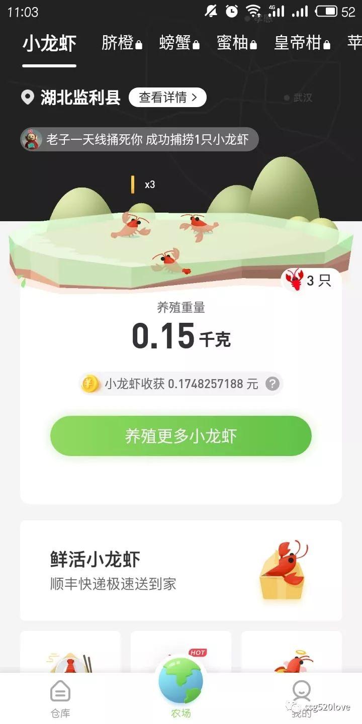 农场世界怎么卖龙虾缩略图