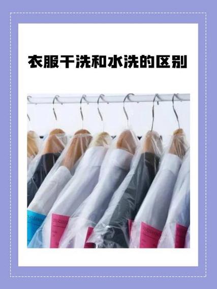 干洗店到底是干洗还是水洗的缩略图