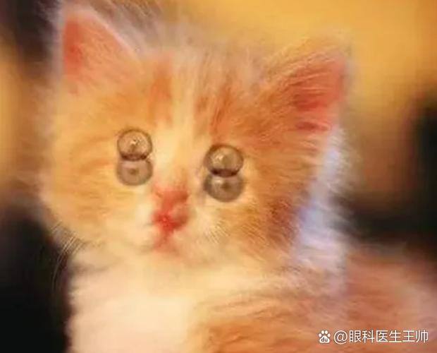 眼睛有叠影怎么回事
