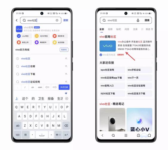 Vivo手机浏览器密码设置
