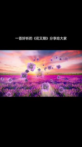 花又期视频背景素材游戏截图