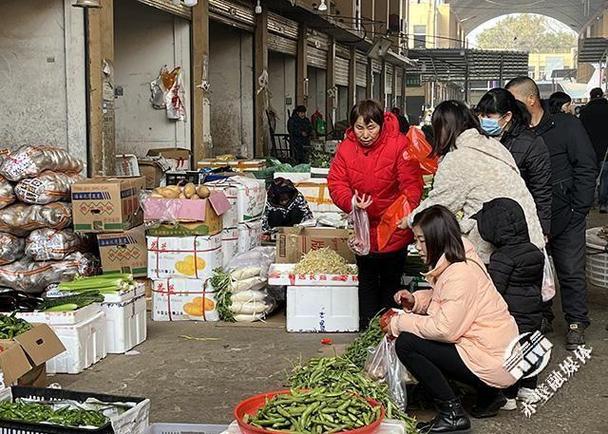 小城的幸福生活缩略图
