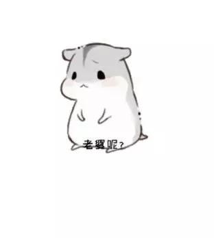 瓜子仓鼠表情图片大全图标
