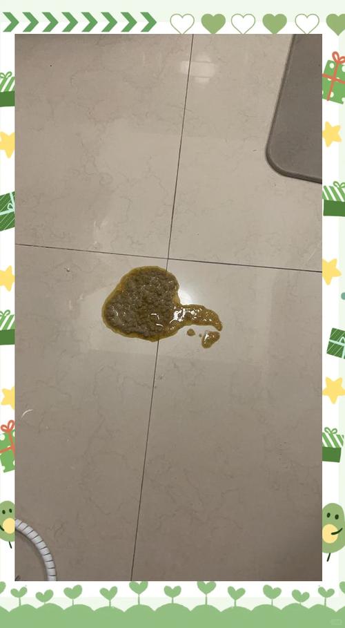 猫咪吐透明液体带白沫缩略图