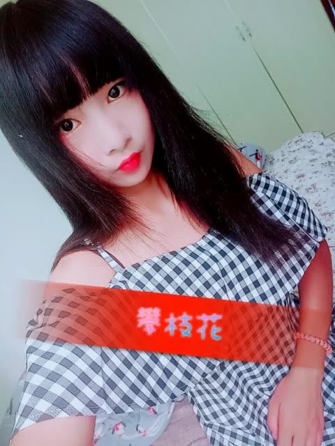 小春直播tv缩略图
