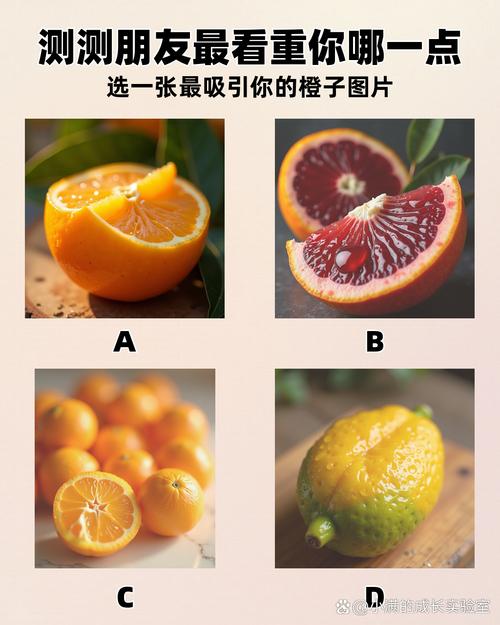 橘子试玩靠谱吗缩略图