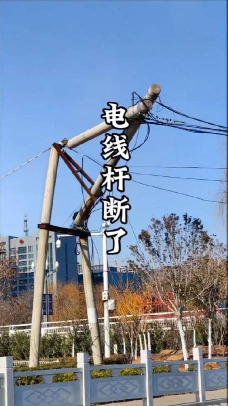 电线断了怎么办缩略图