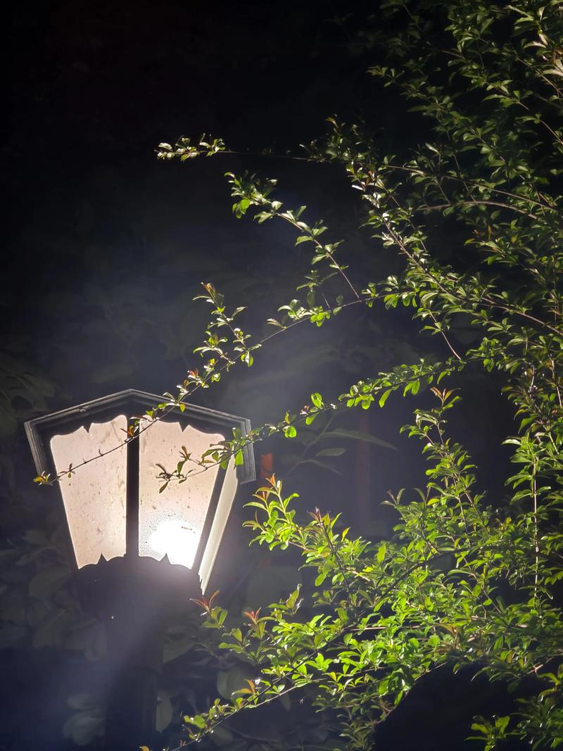 夜间图片风景图片缩略图