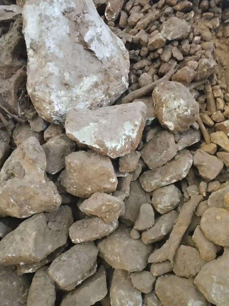 科技复兴镍矿石获得