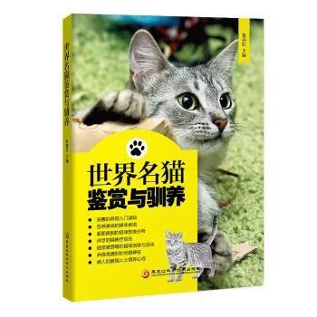 怎么驯猫