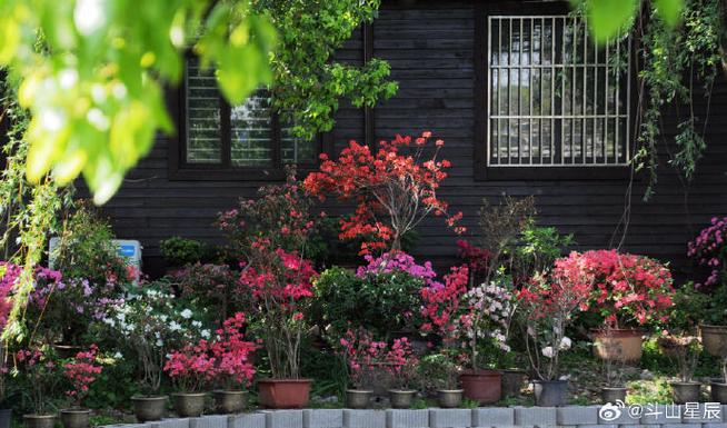 图片花草风景图片缩略图