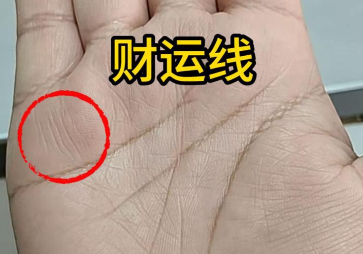 女人有财运的手相