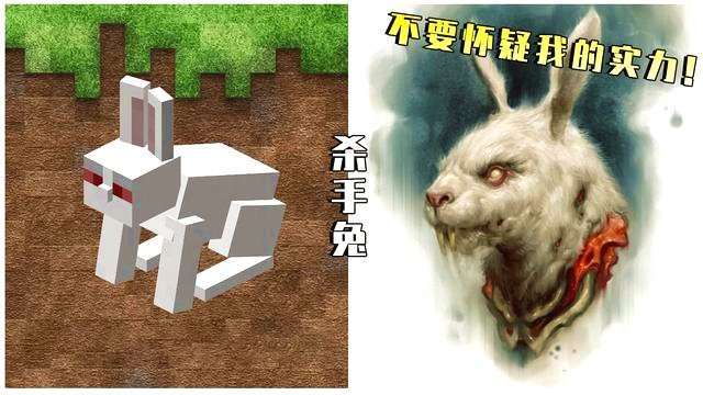 杀手兔的战斗力