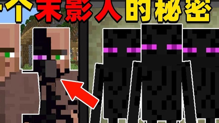 大末影人缩略图
