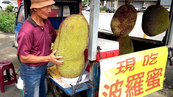 菠萝蜜不太熟剥出来了怎么办
