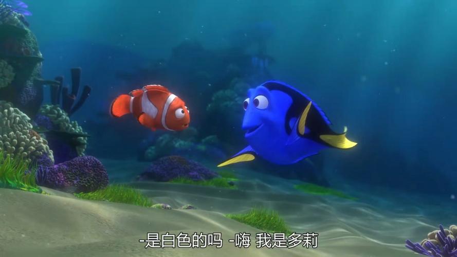 海底总动员国语版在线观看图标