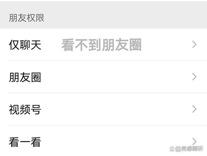 仅聊天朋友算什么朋友游戏截图
