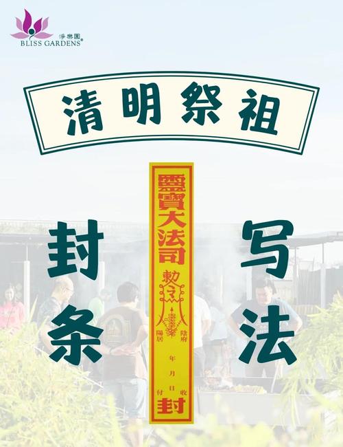 soul一旦封号多久能解封图标