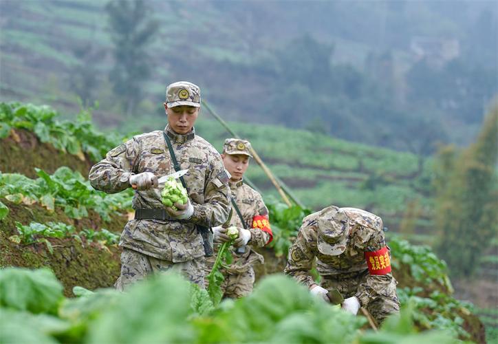 重庆武警四支队