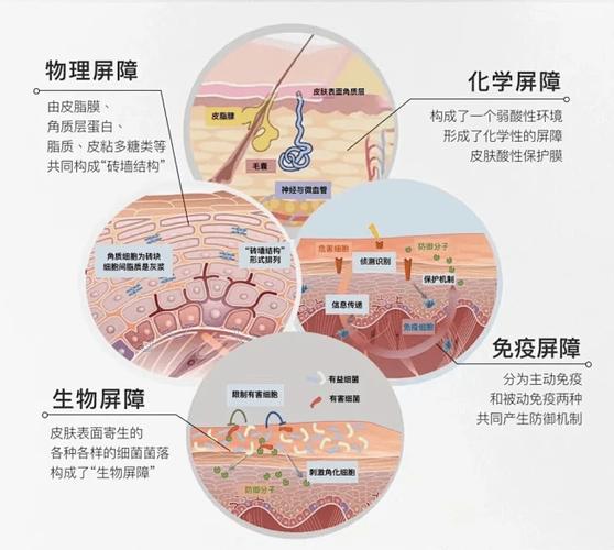 屏障图片图标