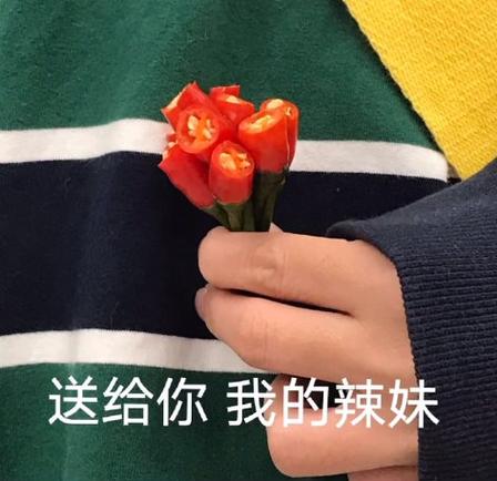 把自己送给你表情包