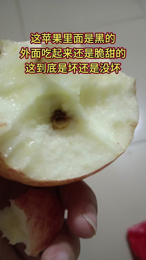 苹果芯免费阅读未删减版缩略图