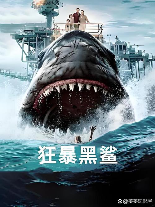 黑鲨影视去广告缩略图