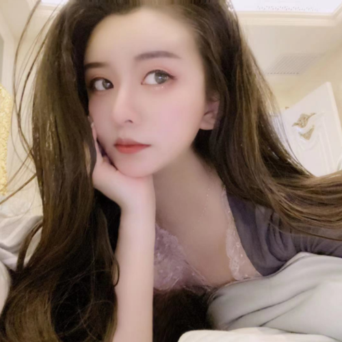鸽子环号免费查询图标