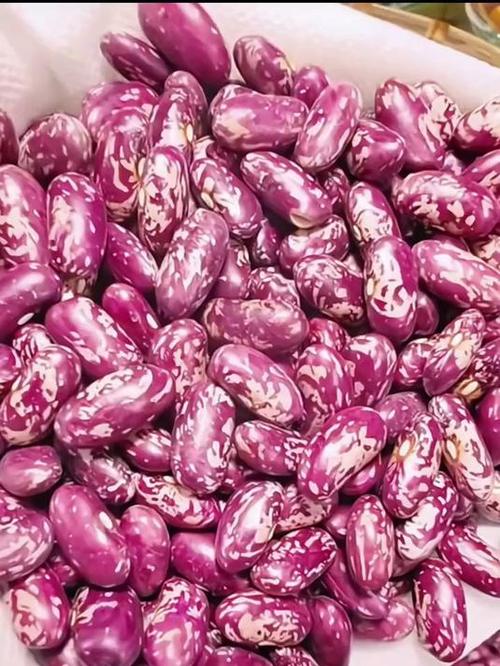 芸豆图片