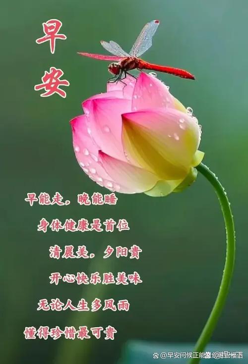 一天一个祝福语缩略图