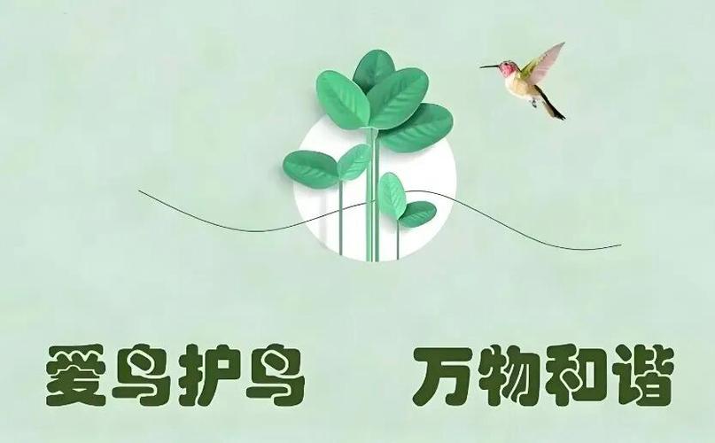 2025禁养鸟类一览表缩略图