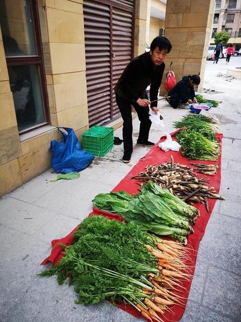 买菜能赚钱吗缩略图