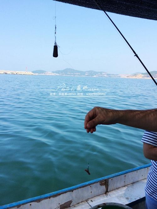 挂海辅助论坛图标
